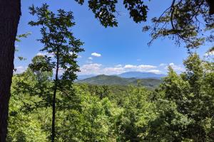 One-Bedroom House room in Little Fantasy Hideaway - 180-Degree Mountain View cabin