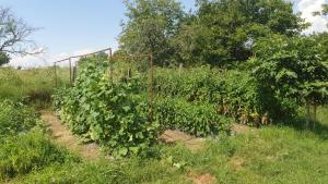 Malavi Guest House Krasen! Comfort&clean!