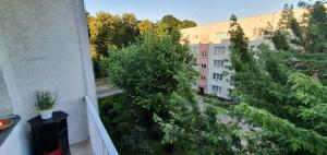 Apartament Park Saski II