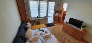 Apartament Park Saski II