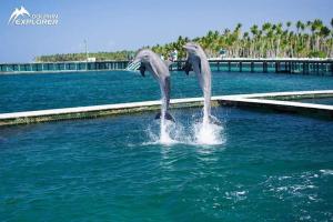 Punta Cana Bavaro Adventure Apartments Sleep & Go Excursions Deals