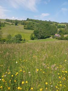 Agroturystyka Janiczek Tuchów