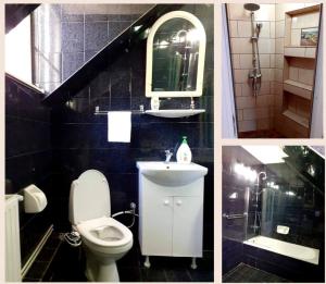 Pensiunea Laba Ursului - Medveláb Vendégház