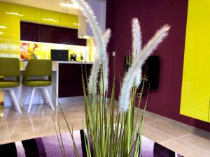 Ultraviolet relax apart