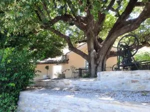 Le gîte Calluna - Sablet