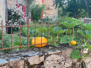 Maisons d'hotes Le couvent de Jouels : photos des chambres