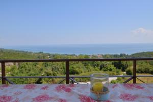 neos panteleimonas pierias VILLA LAYLA