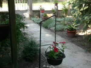 Joky Katona Rooms & Apartments