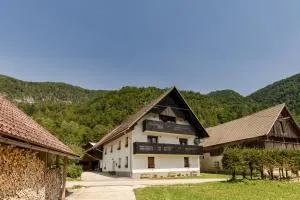 Apartmaji Rupnik - 班斯卡比斯特里察