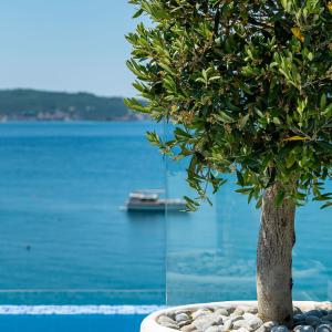 Elysium Tivat