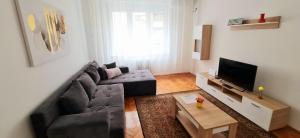 Downtown Star Apartment