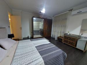 Nasr city villa