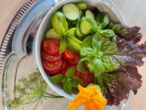 Brändö Bike and Bed
