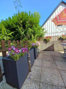 Appartements L'escale honfleuraise : photos des chambres