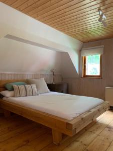 Auszeit im Waldidyll