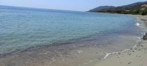 Sa Teria Village - Appartamenti - img44