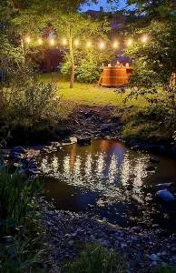 Korondi Pisztrangos - Lupeni