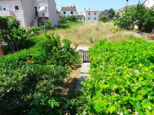 Apartment in Valbandon - Istrien 8608