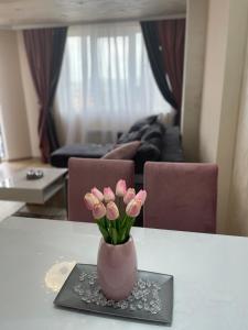 Lux Apartman Gondola 94 -garazno mesto!!