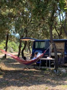Camping Sugar