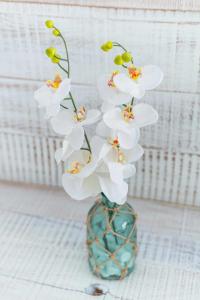 Hotel Vacanzy Urban Boutique Adults Only