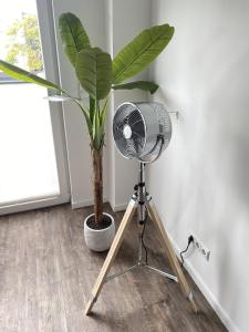 Ferienwohnung Ankerplatz