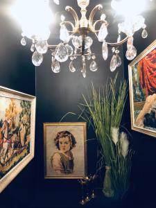 Appartement Bel Air - Piscine - jacuzzi