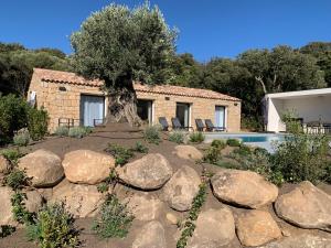 Villas DOMAINE NAPOLEON CORSICA FIGARI : Villa 2 Chambres