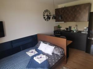 Apartament Centrum Bocian