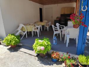Guest House - Marija Delija