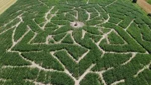 Maïsterplan - Moerkerke