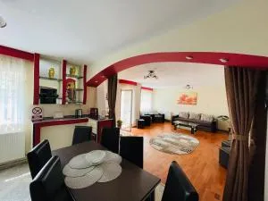 Apartament ExtraLarge - 布什泰尼