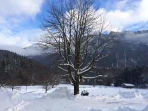 Alpaka-Hof Landinger