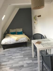 Appartements LA MANSARDE - AU COEUR DE LA VIEILLE VILLE : photos des chambres