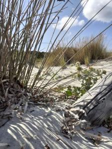 Appartamento a Pula in zona residenziale img16