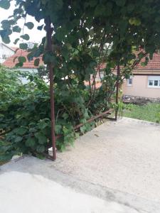 Apartman Mila i Kaja