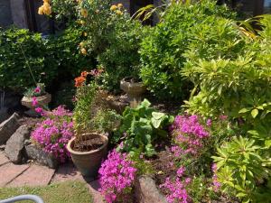 Friars Bridge Guesthouse