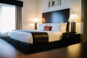 Deluxe King Room - Non-Smoking room in Wingate by Wyndham Tinley Park