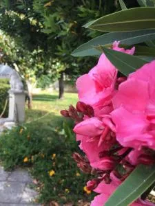 Villa Daniela - Appartamento in villa - Borgo Piave