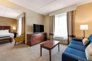 King Suite room in Comfort Suites Near Universal Orlando Resort