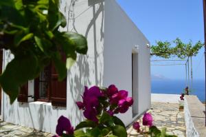 Traditional Villa Kapare