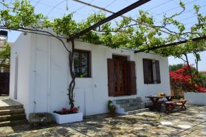 Traditional Villa Kapare