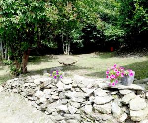 Maisons de vacances La grange Loudervielle Louron Pyrenees : photos des chambres