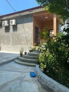 Paradise Found - 姆兹瓦内康茨基