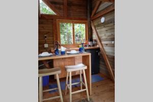 La Casa En El Bosque