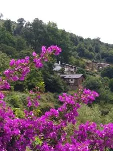 Ribera Sacra ( apartamento Rural ) - Santa Eulalia