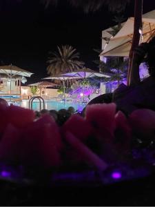 Appartement Touta écologique familial