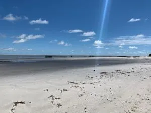 FlowMove Algodoal - Curuçá