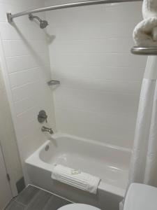 Standard King Room - Non Smoking room in Comfort Inn & Suites