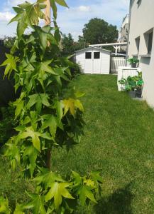 Maisons de vacances LA MAISON BLEUE, a 20 mn de Strasbourg, sur la route des vins, jusqu'a 6 personnes, Selestat : photos des chambres